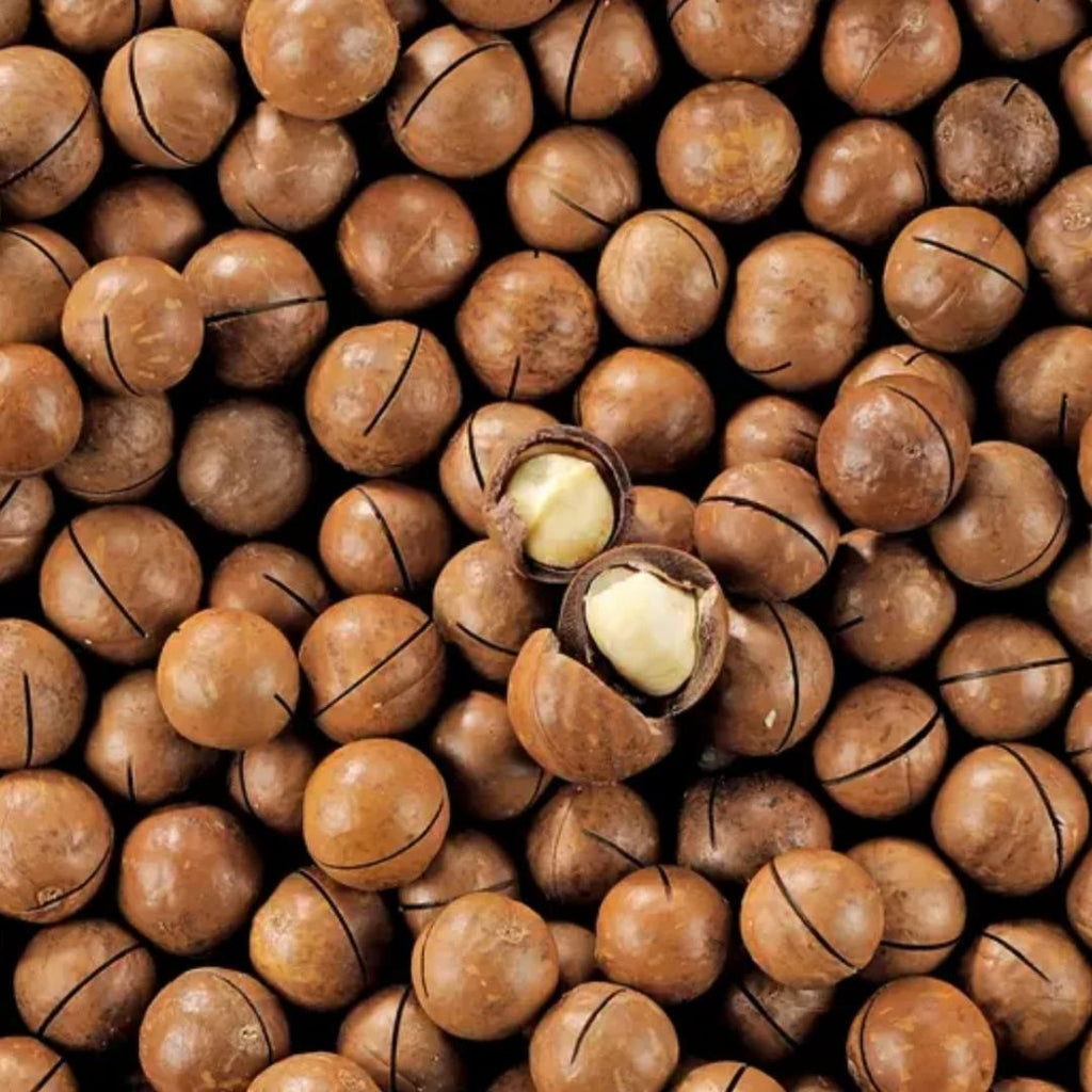 Premium Macadamia in Schale mit einem Hauch von Vanille geröstet Bulk - Kischmisch