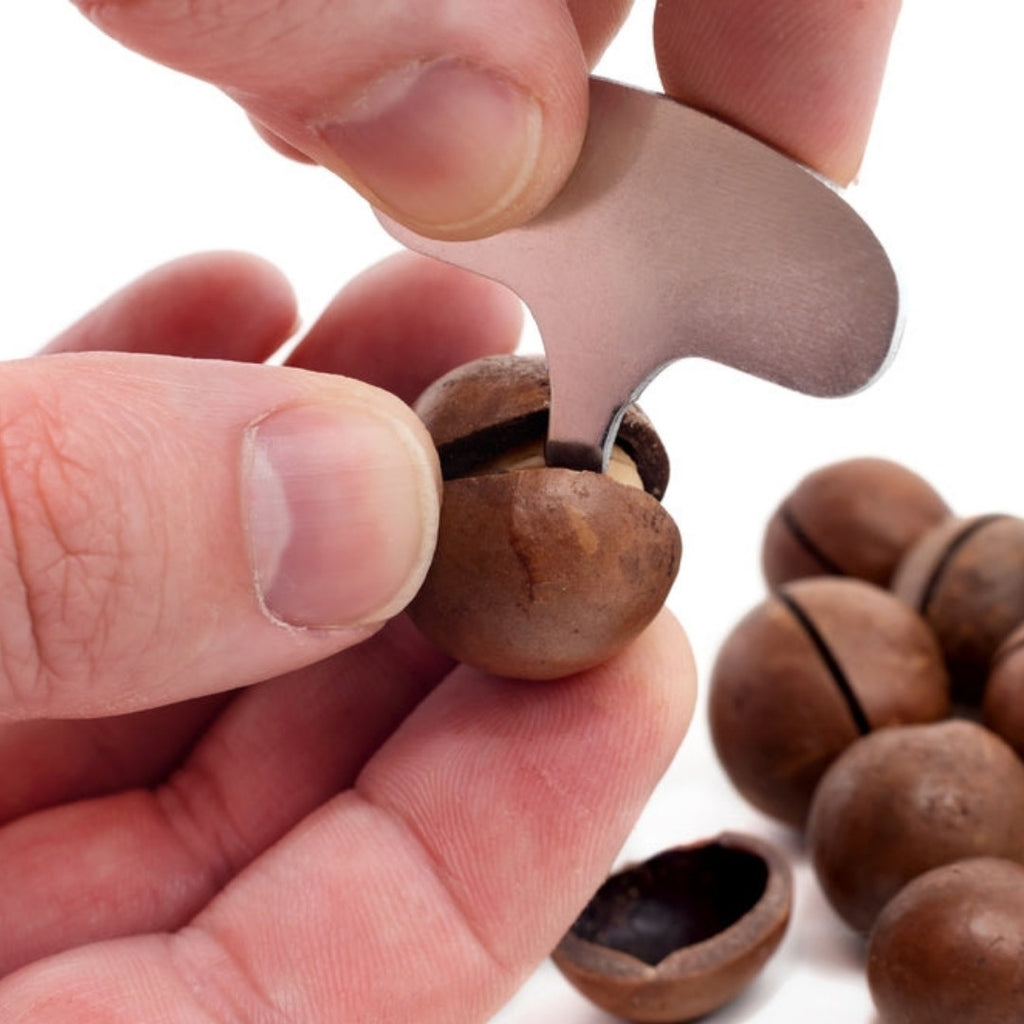 Premium Macadamia in Schale mit einem Hauch von Vanille geröstet inkl. Öffner