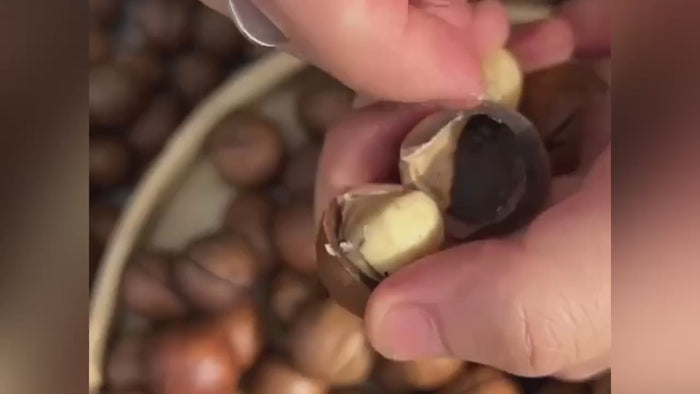 Premium Macadamia in Schale mit einem Hauch von Vanille geröstet inkl. Öffner